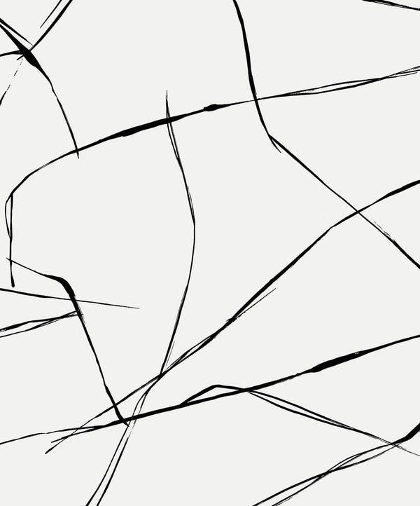 Malibu Ps Inkwork Abstract Contemporary Abstract - Ebony & Eggshell | Peel and Stick Removable Wallcovering