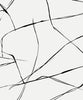 Malibu PS Inkwork Abstract Contemporary Abstract - Ebony & Eggshell | Peel and Stick Removable Wallpaper