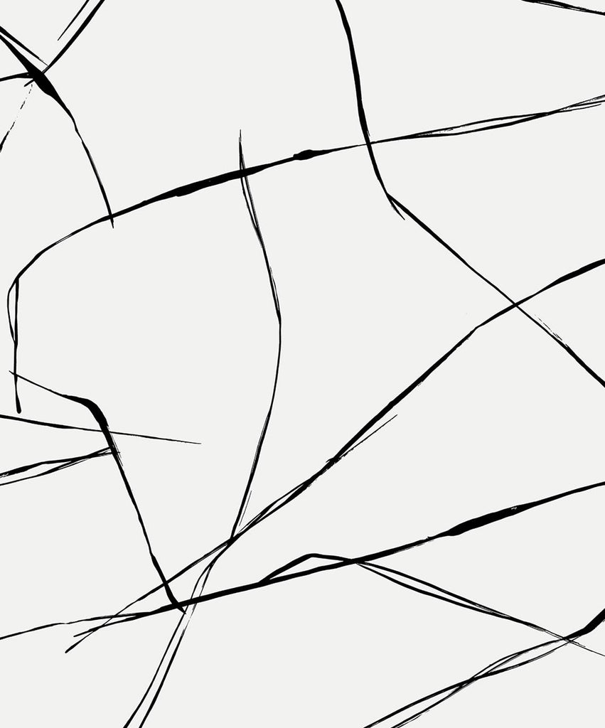 Malibu PS Inkwork Abstract Contemporary Abstract - Ebony & Eggshell | Peel and Stick Removable Wallpaper