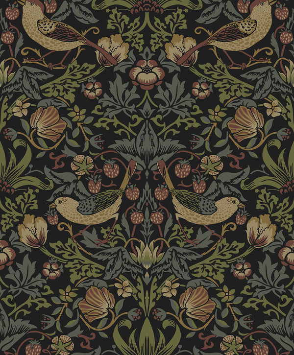 Malibu Ps Strawberry Garden Vintage Botanical - Black | Peel and Stick Removable Wallcovering
