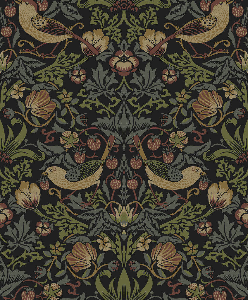 Malibu PS Strawberry Garden Vintage Botanical - Black | Peel and Stick Removable Wallpaper
