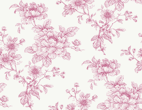 Malibu Ps Sketched Floral Contemporary Floral - Pink | Peel and Stick Removable Wallcovering