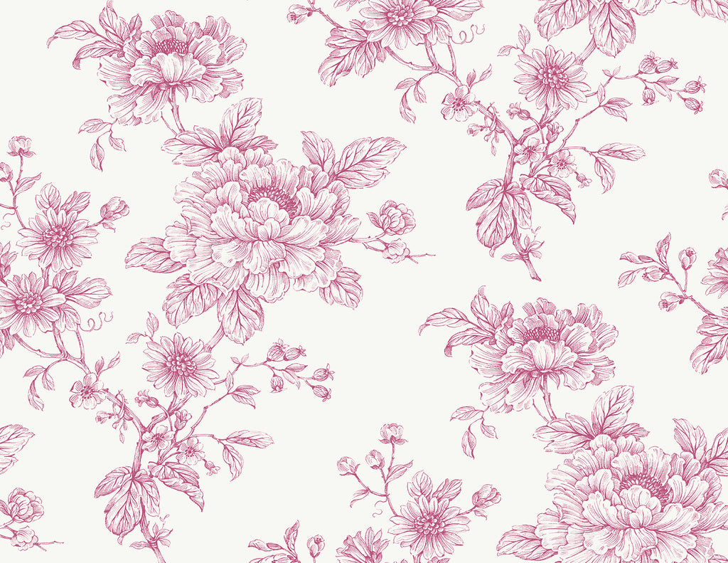 Malibu PS Sketched Floral Contemporary Floral - Pink | Peel and Stick Removable Wallpaper