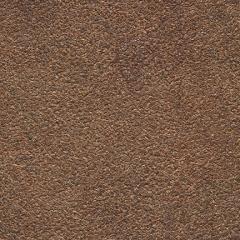 Aragon - Cocoa Bean