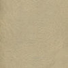 Arcadia - Sandstone