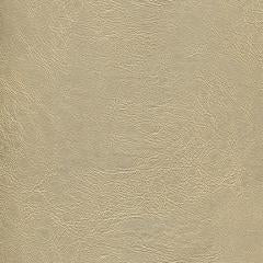 Arcadia - Sandstone