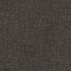 Darby - Slate Graffiti-Free Vinyl | Phillipe Romano
