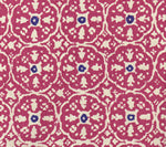 Magenta New Navy