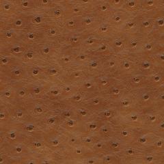 Marlin - Saddle Vegan Leather | Phillipe Romano