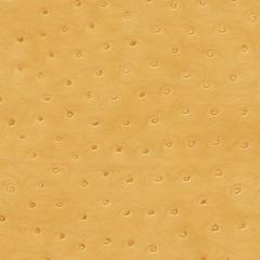Marlin - Goldenrod Vegan Leather | Phillipe Romano