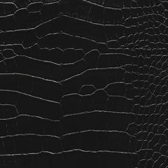 Dunmore Town - Onyx Vegan Leather | Phillipe Romano