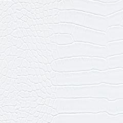 Dunmore Town - Ivory Vegan Leather | Phillipe Romano