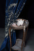 Shell & Crab Velvet Panel Black & Pale Gold on Navy