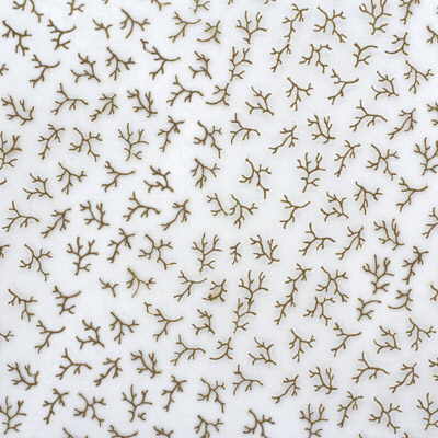 Samples and Purchasing available for Oceana Sheer - Bronze White By Lee Jofa | Sheer Opulence |Botanical & Floral  Drapery Sheer at Designer Wallcoverings and Fabrics