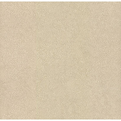 Weathered Wallpaper | Jeffrey Stevens