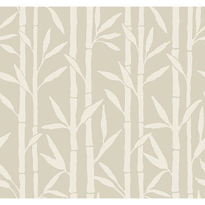 Bamboo Grove Wallpaper | Jeffrey Stevens