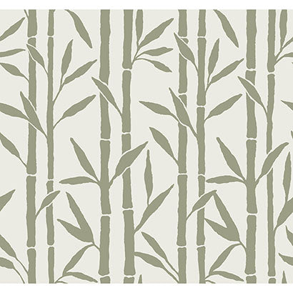 Bamboo Grove Wallpaper | Jeffrey Stevens
