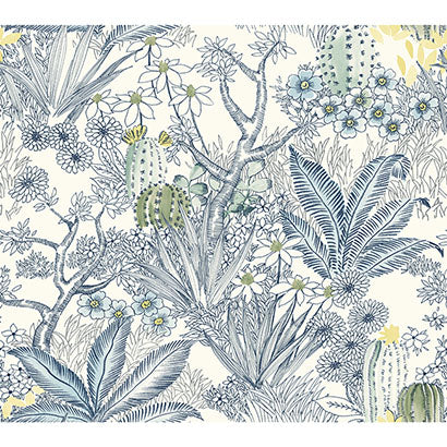 Flowering Desert Wallpaper | Jeffrey Stevens