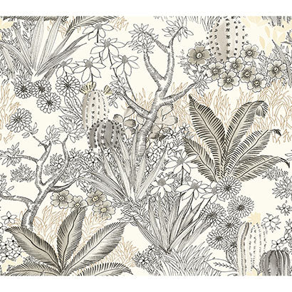 Flowering Desert Wallpaper | Jeffrey Stevens