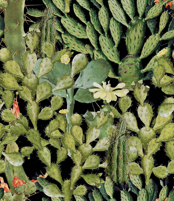 Opuntia - Anthracite Wallcovering | Mind the Gap