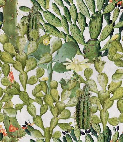Opuntia - Taupe, White, Green, Orange Wallcovering | Mind the Gap