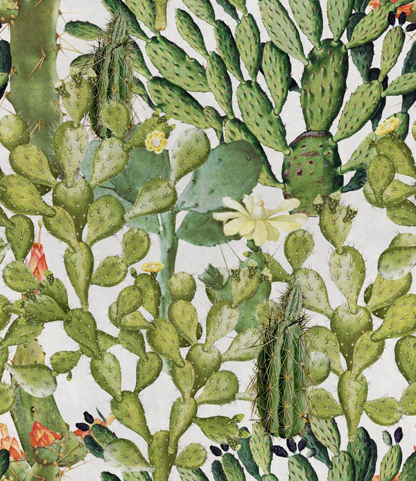 Opuntia - Taupe, White, Green, Orange Wallcovering | Mind the Gap
