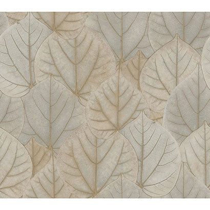 Dennis Cream Wallcovering | Jeffrey Stevens