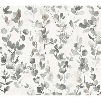 Joyful Eucalyptus Wallpaper | Jeffrey Stevens