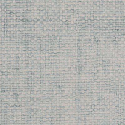 Otis Embossed Raffia Cactus - Light Beige Fabric | Koroseal