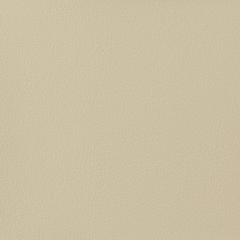 Samples and Purchasing available for Kravet Basics - Otto-1116 Ivory By Kravet Basics |  |Solid Texture Upholstery Vinyl/Faux Leather at Designer Wallcoverings and Fabrics