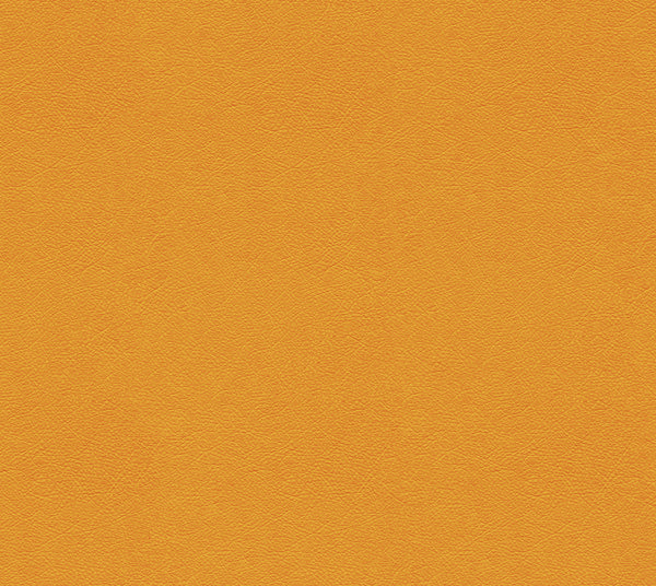 Mango | Commercial Fabric | Los Angeles Fabrics