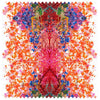 Omni Splatt Cotton Orange