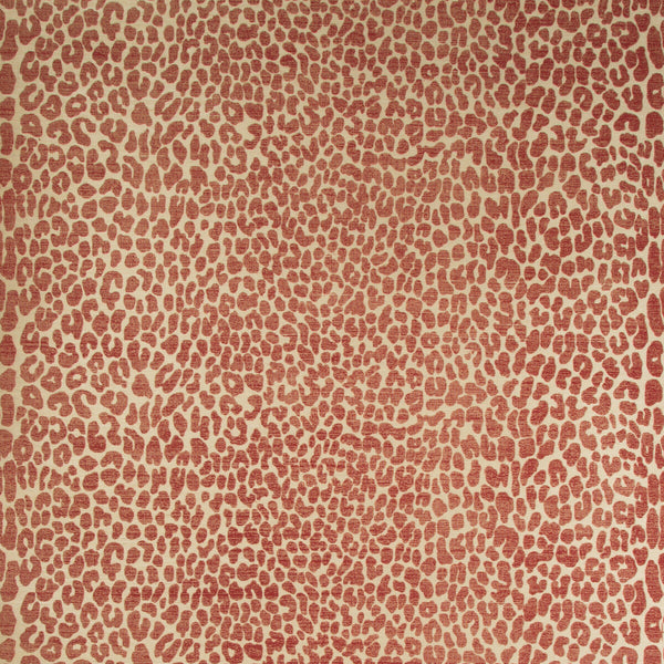Ocicat Paper - Red Red By Lee Jofa | Merkato | Animal/Insects Wallcovering Print
