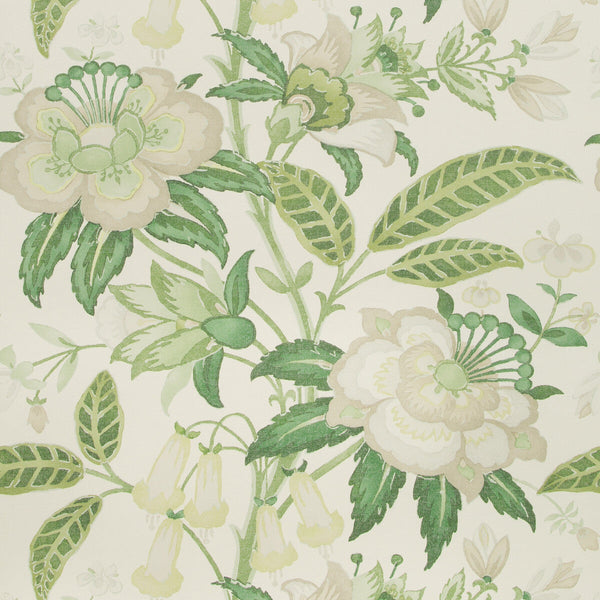 Davenport Paper - Greenery Green By Lee Jofa | Westport |Botanical & Floral  Wallcovering Print