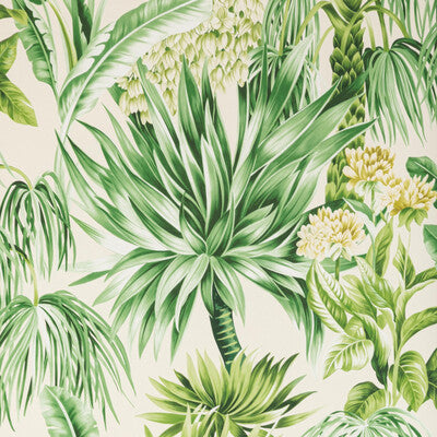 Caluya Paper - Palm Green By Lee Jofa | Mindoro Wallpaper |Botanical & Floral  Wallcovering Print