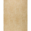 Wood - Tan Beige By Brunschwig & Fils | Hommage | Texture Multipurpose Print