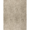 Wood - Bark Brown By Brunschwig & Fils | Hommage | Texture Multipurpose Print