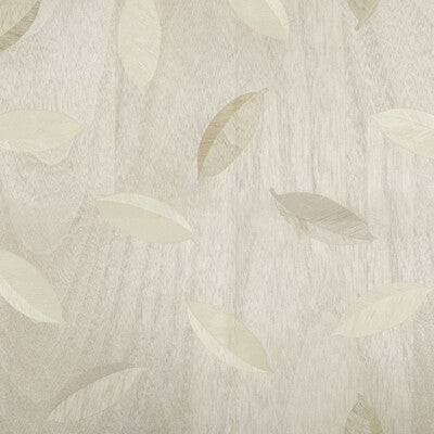 Aki - Driftwood Beige By Brunschwig & Fils |  |Modern  Wallcovering
