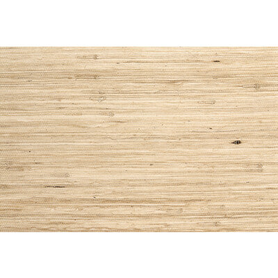 Samples and Purchasing available for Umaji - Ivory Ivory By Brunschwig & Fils |  |Solid  Wallcovering Grasscloth at Designer Wallcoverings and Fabrics