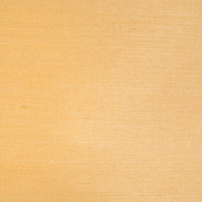 Bf:: - Beige By Brunschwig & Fils | | Solid