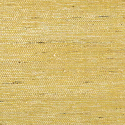 Samples and Purchasing available for Kochi - Gold Yellow By Brunschwig & Fils |  |Solid Texture Wallcovering  at Designer Wallcoverings and Fabrics