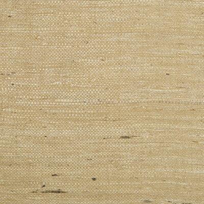 Samples and Purchasing available for Kochi - Tan Beige By Brunschwig & Fils |  |Solid Texture Wallcovering  at Designer Wallcoverings and Fabrics
