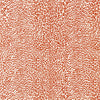 Samples and Purchasing available for Petit Leopard - Orange Orange By Brunschwig & Fils | Madeleine Castaing Wallpapers |Animal/Insects Animal Skins Wallcovering Print at Designer Wallcoverings and Fabrics