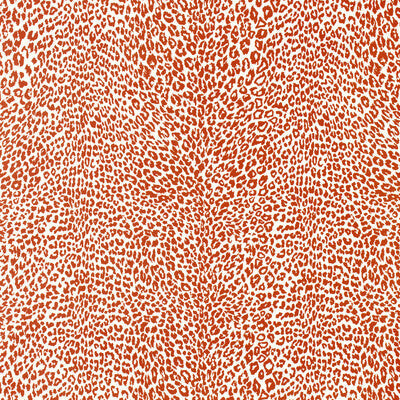 Samples and Purchasing available for Petit Leopard - Orange Orange By Brunschwig & Fils | Madeleine Castaing Wallpapers |Animal/Insects Animal Skins Wallcovering Print at Designer Wallcoverings and Fabrics
