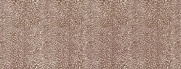 Petit Leopard - Chocolate Brown By Brunschwig & Fils | Madeleine Castaing Wallcoverings |Animal/Insects Animal Skins Wallcovering Print