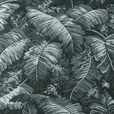 Samples and Purchasing available for Feuilles De Bananier - Gris Grey By Brunschwig & Fils | Madeleine Castaing Wallpapers | Botanical & Floral Wallcovering Print at Designer Wallcoverings and Fabrics