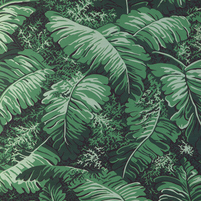 Samples and Purchasing available for Feuilles De Bananier - Ivy Green By Brunschwig & Fils | Madeleine Castaing Wallpapers | Botanical & Floral Wallcovering Print at Designer Wallcoverings and Fabrics