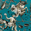 Samples and Purchasing available for Cosmique - Teal Turquoise By Brunschwig & Fils | Celeste Wallcovering |Animal/Insects Novelty Wallcovering Print at Designer Wallcoverings and Fabrics