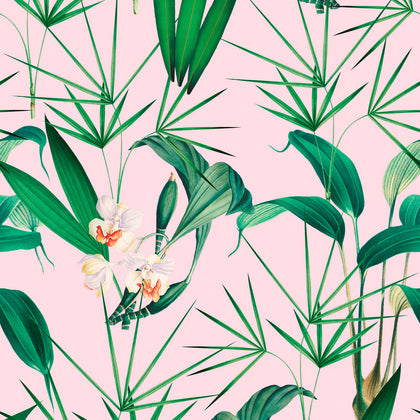 Palm Springs - White, Green, Pink, Orange Wallcovering | Mind the Gap