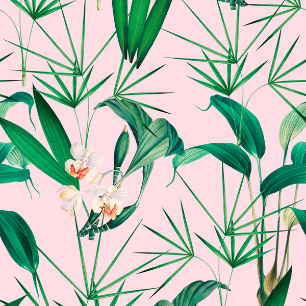 Palm Springs - White, Green, Pink, Orange Wallcovering | Mind the Gap